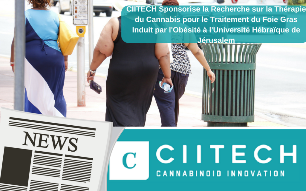 CIITECH Sponsorise la Recherche sur la Thérapie du Cannabis pour le Traitement du Foie Gras Induit par l'Obésité à l'Université Hébraïque de Jérusalem