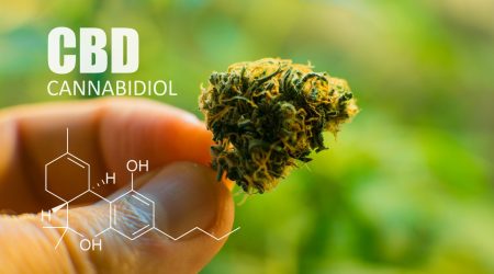 CBD facts you didnt know