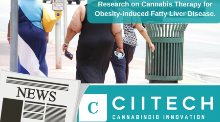 Research on Cannabis Therapy for Obesity-induced Fatty Liver Disease in.