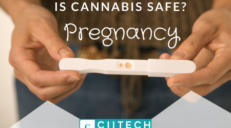 Is Cannabis Safe During Pregnancy. CBD Pregnant UK