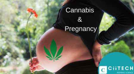 Cannabis Pregnancy UK CBD USA Marijuana