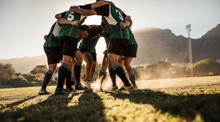 ciitech SA rugby south africa