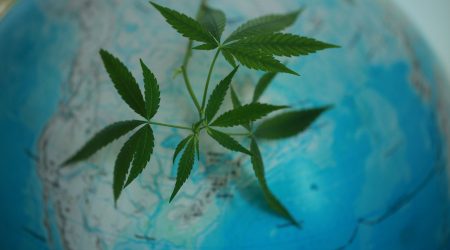 global cannabis legalisation